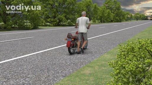 Особа веде мотоцикл узбіччям дороги, визначення терміна пішохід у ПДР