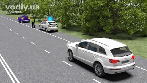 Автомобіль поліції з увімкненим синім проблисковим маячком на узбіччі та регулювальник на дорозі