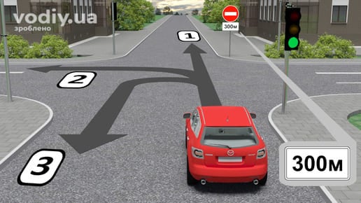 Дорожні знаки 3.21 «В'їзд заборонено», 7.1.1 «Відстань до об’єкта», рух автомобіля на регульованому перехресті прямо, ліворуч та на розворот.