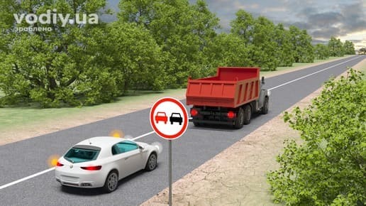 Дорожній знак 3.25 «Обгін заборонено», Розмітка 1.1 (вузька суцільна лінія), білий автомобіль та вантажівка на дорозі поза населеним пунктом.