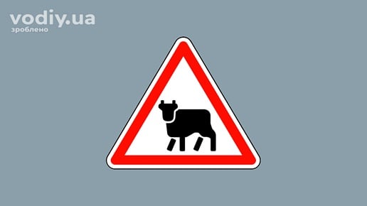 Дорожній знак 1.35 «Перегін худоби» на сірому фоні. Попередження про ділянку дороги, на якій можлива поява свійських тварин.