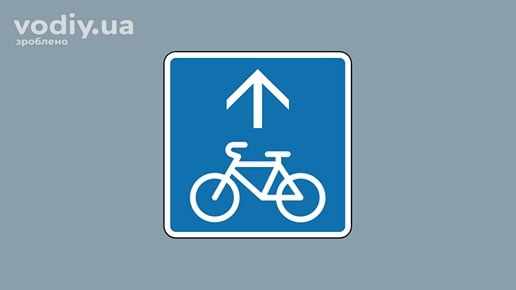 Дорожній знак 5.88 «Велосипедна смуга» для позначення виділеної на проїзній частині смуги для руху велосипедистів.