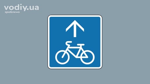 Дорожній знак 5.88 «Велосипедна смуга»