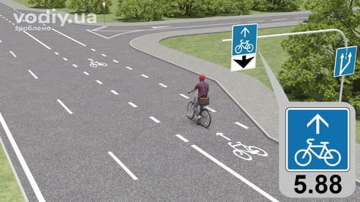 Дорожні знаки 5.88 «Велосипедна смуга», 7.9 «Смуга руху», 5.20.1 «Початок додаткової смуги руху», горизонтальна дорожня розмітка 1.28.1, 1.28.3, 1.1