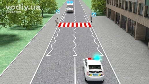 Поліцейське авто та швидка допомога з увімкненими синіми маячками, пішоходи біля переходу, дорожні знаки 5.38.1, 5.38.2 «Пішохідний перехід».