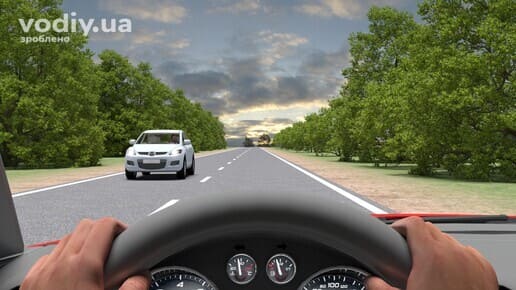 Білий автомобіль на дорозі поза населеним пунктом, вид з місця водія, дерева обабіч дороги та край проїзної частини.