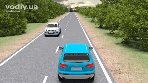 Легкові автомобілі на заміській дорозі без розділювальної смуги, рух трасою поза населеним пунктом в оточенні дерев.