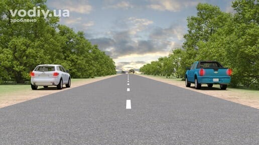 Білий та синій автомобілі на узбіччях дороги поза населеним пунктом, зупинка на лівому та правому боці двосторонньої дороги.